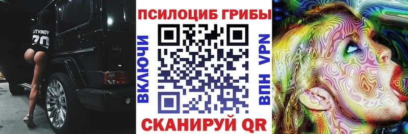 Галлюциногенные грибы Magic Shrooms  Берёзовка 